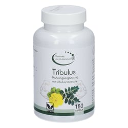 Tribulus Kapseln