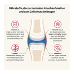 Doppelherz system Kollagen 11.000