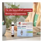Doppelherz system Kollagen 11.000