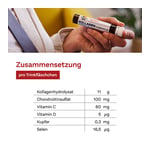 Doppelherz system Kollagen 11.000