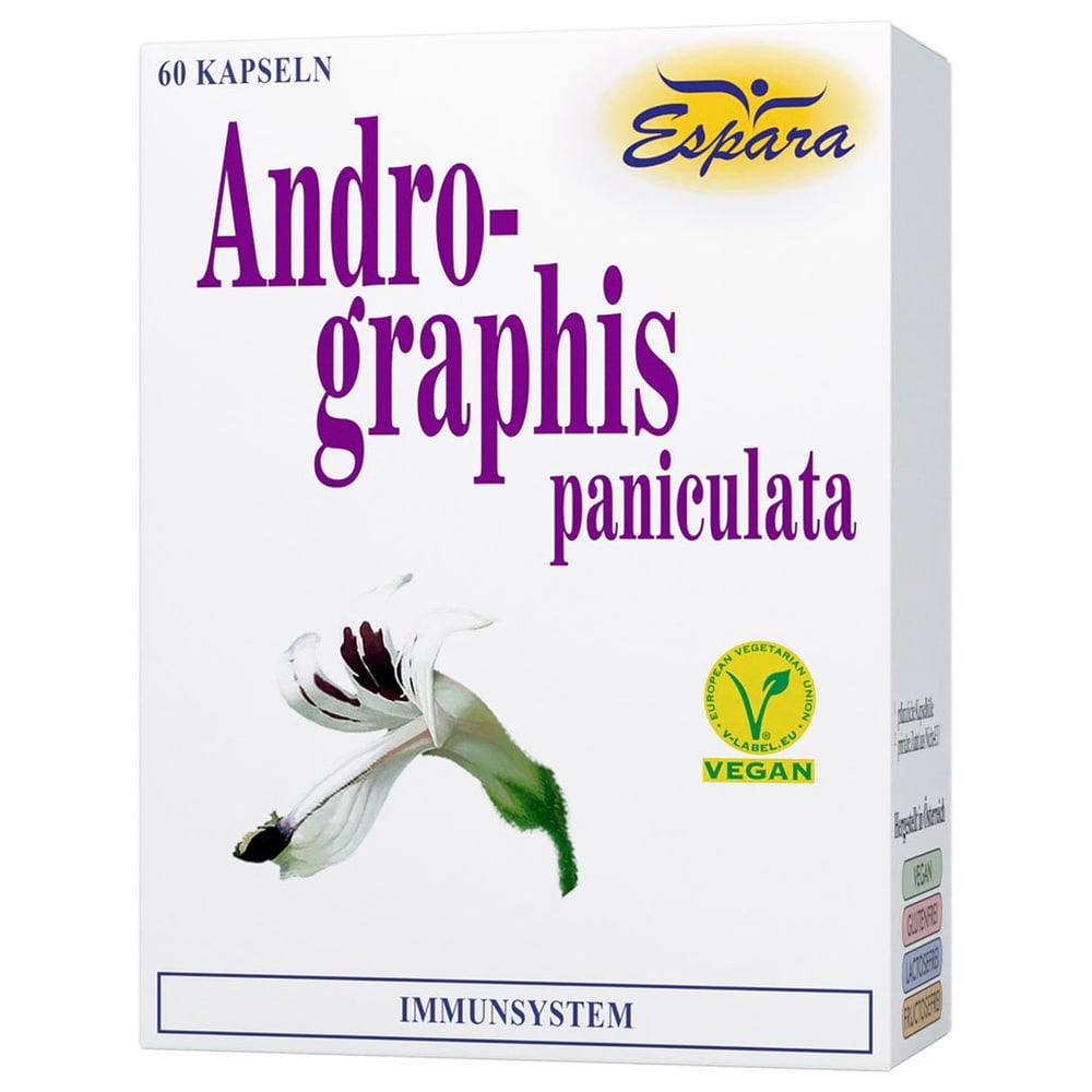 Andrographis paniculata