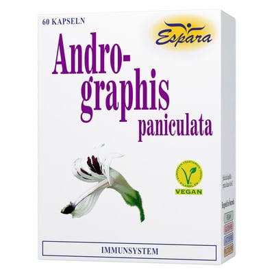 Andrographis paniculata