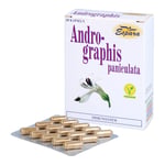 Andrographis paniculata Produktbild 4
