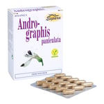 Andrographis paniculata Produktbild 3