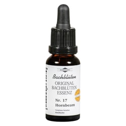 Bachblüten Murnauer Hornbeam Tropfen