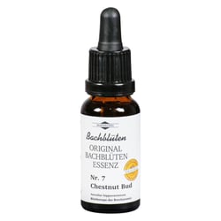 Bachblüten Murnauer Chestnut Bud Tropfen