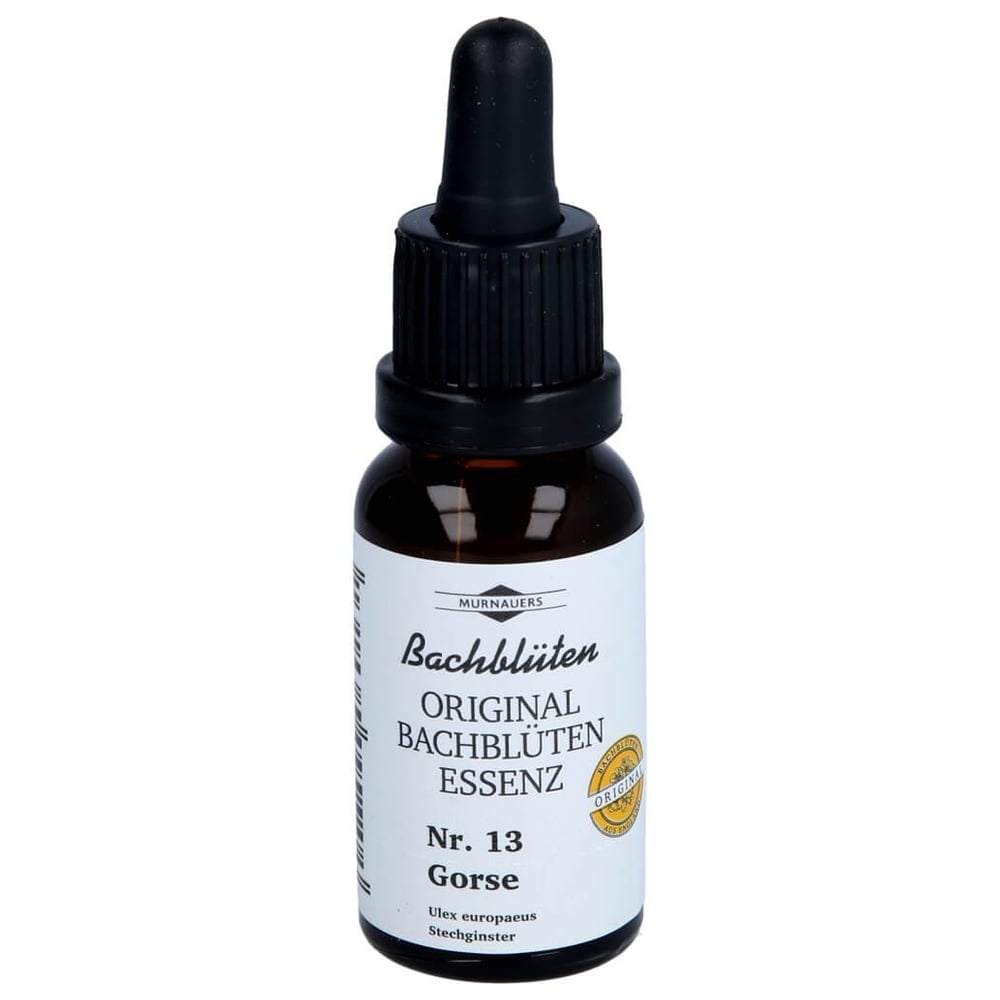 Bachblüten Murnauer Gorse Tropfen