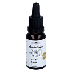 Bachblüten Murnauer Gorse Tropfen