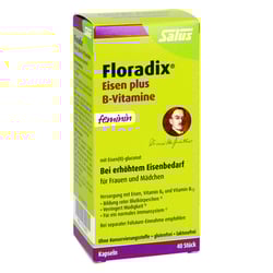 Floradix Eisen plus B Vitamine Kapseln