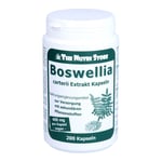 Boswellia carterii 400 mg Extrakt veget. Produktbild 1