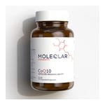 MoleQlar Coenzym Q10 (Ubichinon)