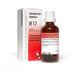 SCROPHULAE-Gastreu R17 Mischung