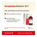 SCROPHULAE-Gastreu R17 Mischung Produktbild 2