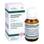 Caulophyllum Pentarkan Tabletten