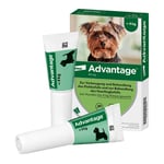 Advantage 40 mg Lösung Hunde bis 4 kg Produktbild 4