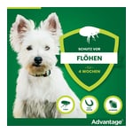Advantage 40 mg Lösung Hunde bis 4 kg Produktbild 7