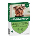 Advantage 40 mg Lösung Hunde bis 4 kg Produktbild 1