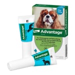 Advantage 100 Lösung Hunde 4-10 kg Produktbild 4
