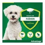 Advantage 100 Lösung Hunde 4-10 kg Produktbild 7
