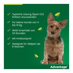 Advantage 100 Lösung Hunde 4-10 kg Produktbild 8