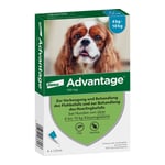 Advantage 100 Lösung Hunde 4-10 kg Produktbild 1