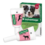 Advantage 250 Lösung Hunde 10-25 kg Produktbild 4