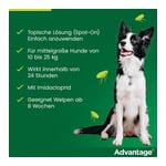 Advantage 250 Lösung Hunde 10-25 kg Produktbild 8