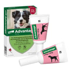 Advantage 250 Lösung Hunde 10-25 kg Produktbild 3