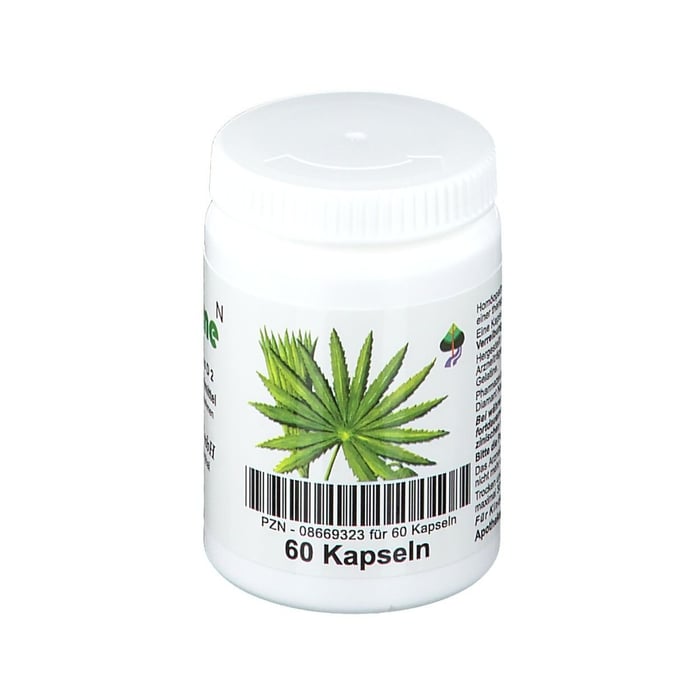 Saegepalme Bioxera