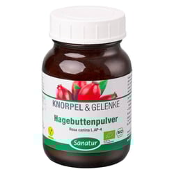 Hagebutten Rosa Can L Ap4