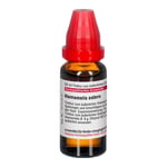 HAMAMELIS EXTERN Tinktur Produktbild 4