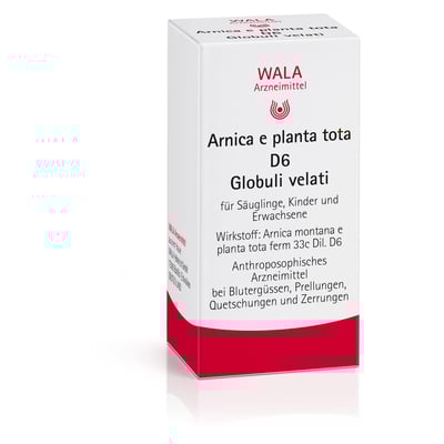 Arnica E Planta tota D 6