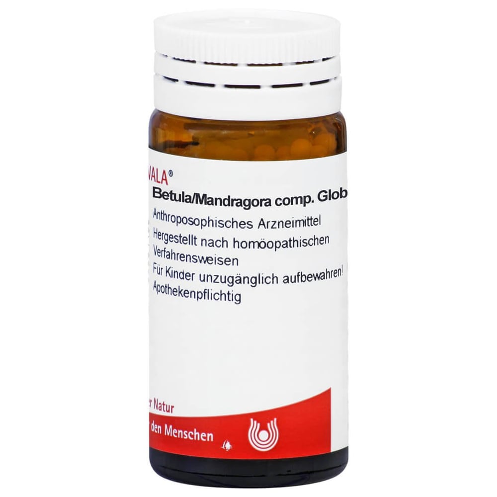 Betula/mandragora comp.