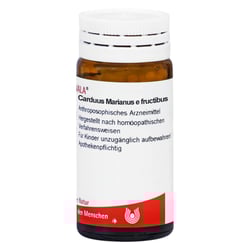 Carduus marianus e fructibus