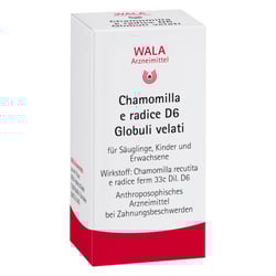 Chamomilla E radice D 6