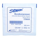 Erena Vlies-Kompresse steril 10X10 cm