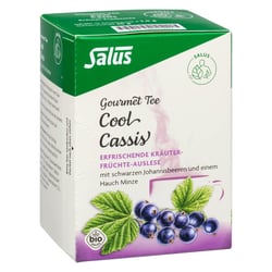 Cool Cassis Kräutertee Salus Filterbeutel