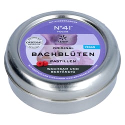 Konzentration Bachblüten Dr.Bach