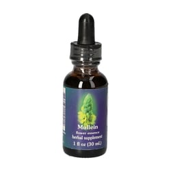 Mullein Kalif Bluetenessen