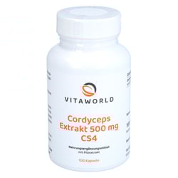 Cordyceps Extrakt 500 mg Kapseln