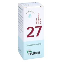 Biochemie Pflüger Nr. 27 Kalium bichromicum D 6 Dil.