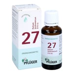 Biochemie Pflüger Nr. 27 Kalium bichromicum D 6 Dil.