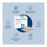 Thymus Köhler Kapseln