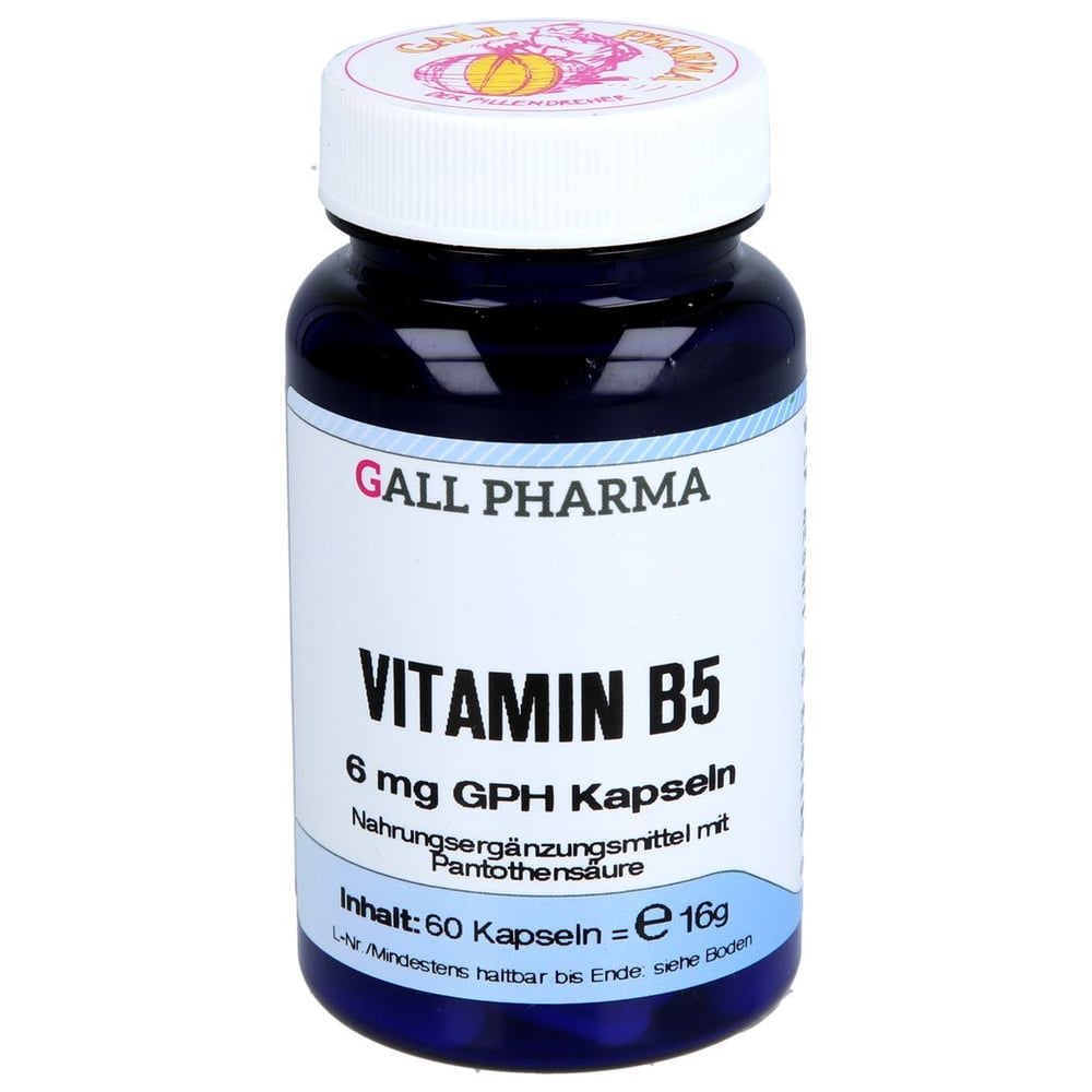 Vitamin B5 6 mg GPH Kapseln
