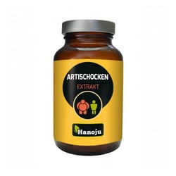 Artischocken Extrakt 500 mg