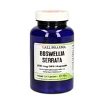 Boswellia Serrata 200 mg GPH Kapseln Produktbild 1