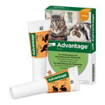 Advantage 40 mg Lösung kleine Katzen/Zierkaninchen Produktbild 4