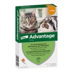 Advantage 40 mg Lösung kleine Katzen/Zierkaninchen Produktbild 1