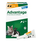 Advantage 40 mg Lösung kleine Katzen/Zierkaninchen Produktbild 2