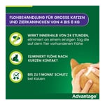Advantage 80 mg Lösung große Katzen/Zierkaninchen Produktbild 6